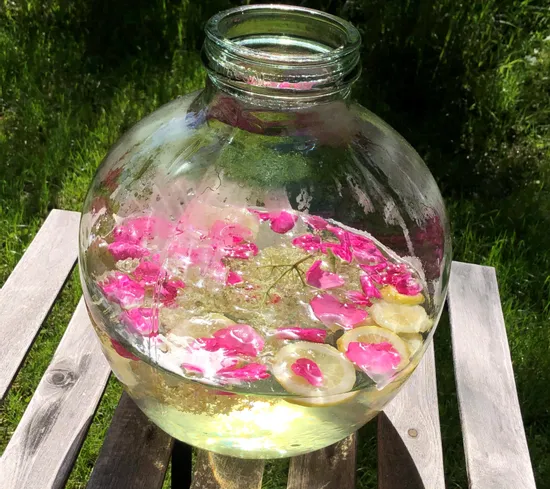 Glass jar with elderflower lemonade, lemon slices and rose petals on wooden bench outdoors