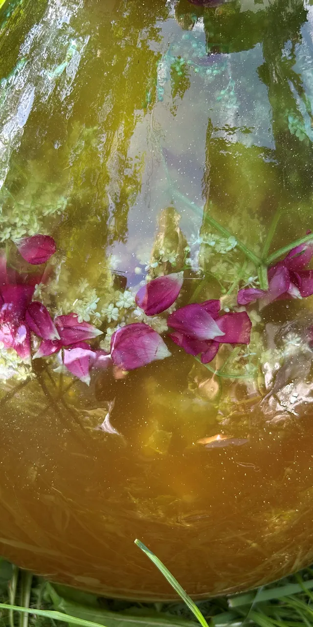 Vaso di vetro con petali rossi e erbe verdi in liquido color ambra sull'erba