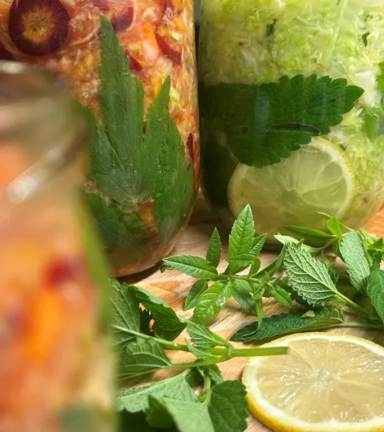 Fermentiertes Gemüse in Gläsern mit Kräutern und Zitronenscheiben auf Holzoberfläche