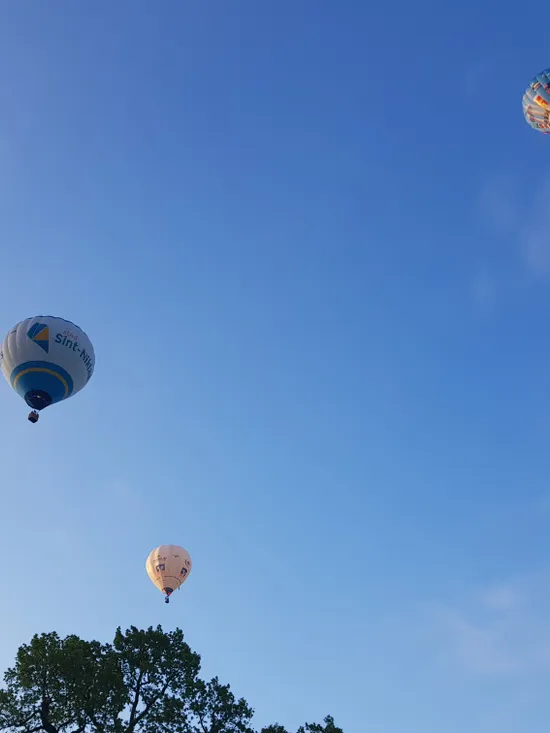 Drei bunte Heißluftballons schweben im blauen Himmel über Baumwipfeln