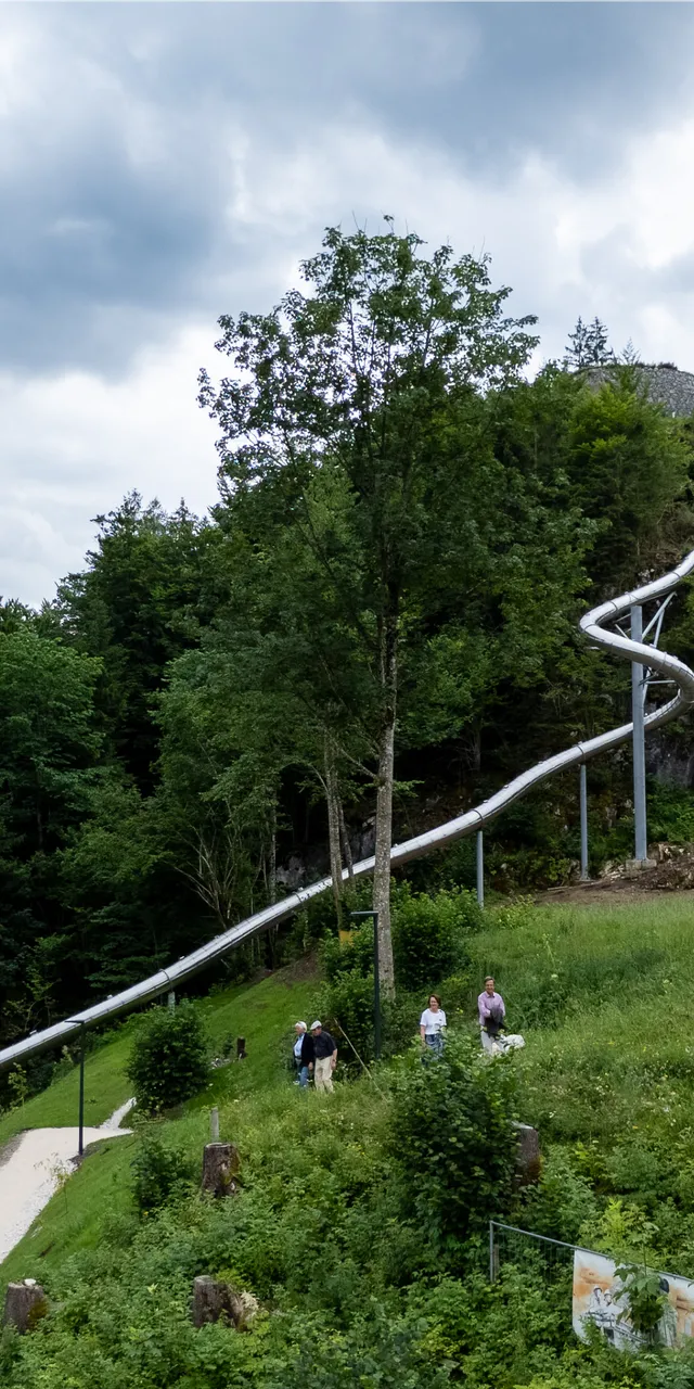 Lange Metallrutsche schlängelt sich einen grünen Hügel im bergigen Waldgebiet hinab
