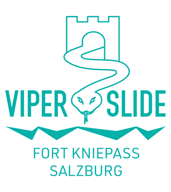 03_LOGO-VIPER-SLIDE_75-0-40-0.png