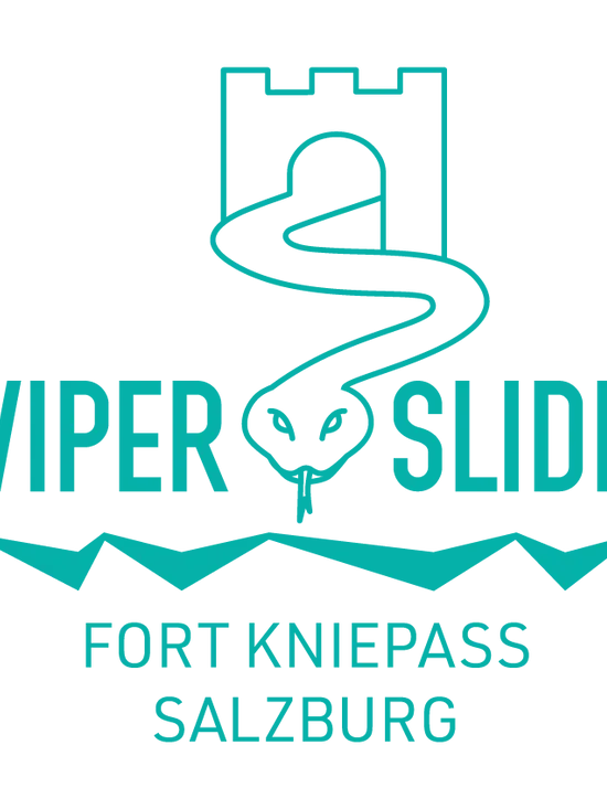 03_LOGO-VIPER-SLIDE_75-0-40-0.png