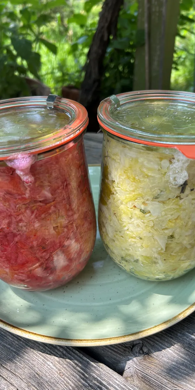Abbildung von fermentierten Sauerkraut