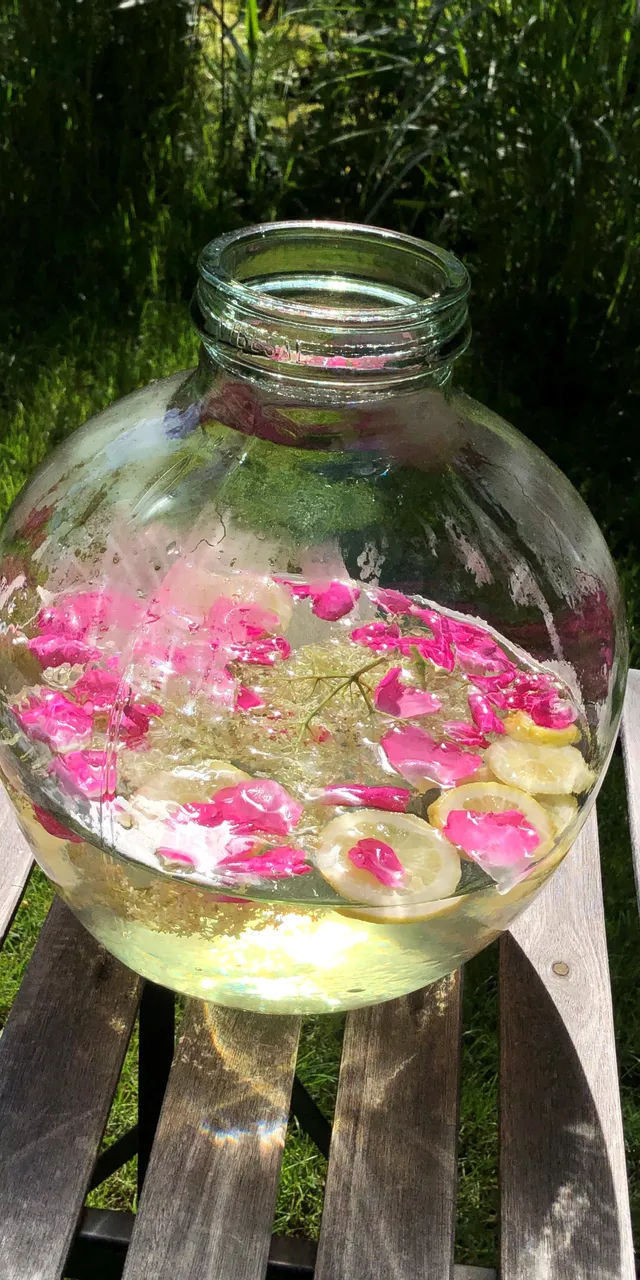 Glass jar with elderflower lemonade, lemon slices and rose petals on wooden bench outdoors