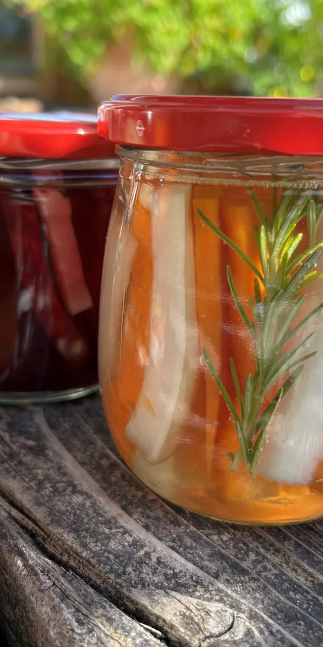 Fermentierte Nahrungsmittel eingelegt