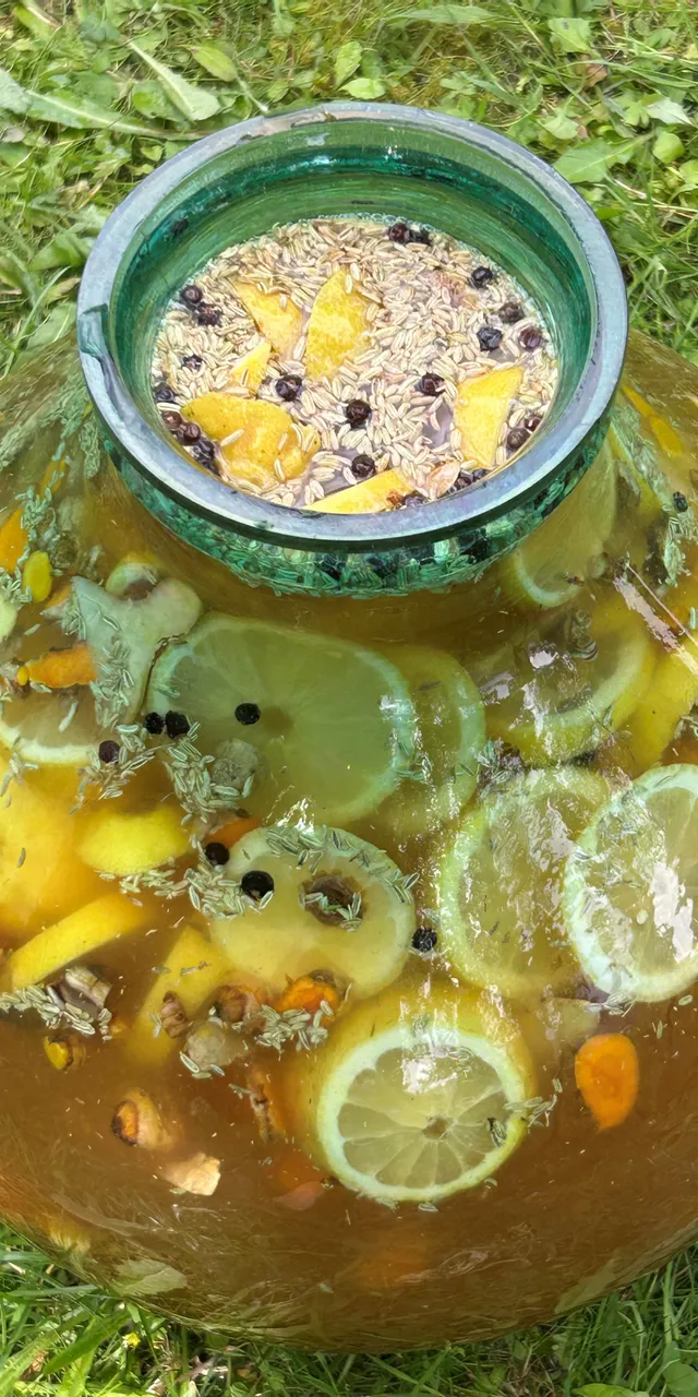 Large glass jar with lemon slices, herbs, and spices fermenting in liquid on grass