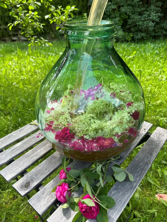 Herbal summer drink with rose petals and elderflowers in a glass jar on wooden table