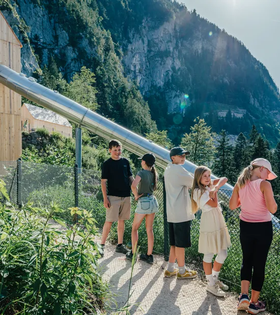 Kinder stehen am Zaun bei einer Berghütte mit Metallrutsche im alpinen Wald