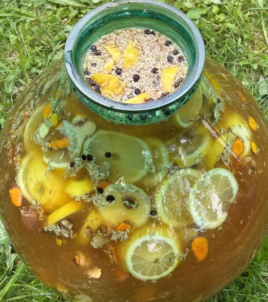 Großes Glasgefäß mit Zitronenscheiben, Kräutern und Gewürzen in Flüssigkeit auf Gras